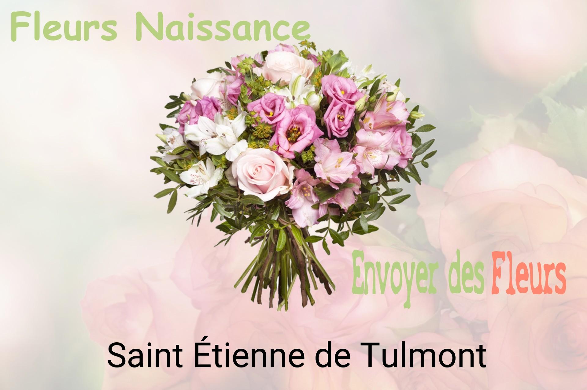Bouquet de fleurs de naissance livré à Saint-Étienne-de-Tulmont